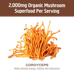 Mushrooms grown in Southern California – USA grown