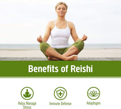 Organic Reishi powder (Ganoderma lucidum) whole food mushroom powder