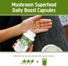 Graphic illustrating adaptogen benefits for stress relief and immune support