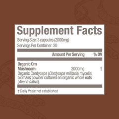 Close-up of ingredients and organic mycelial biomass