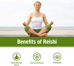 Organic certifications for Reishi powder