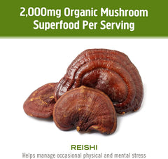 OM Mushroom USA production facility in California