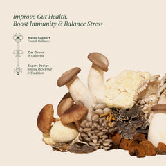 Measuring scoop with OM Mushrooms Master Blend powder