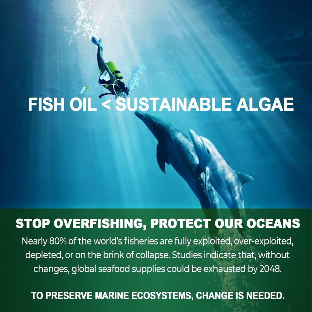 Sugar-free omega-3 gummies label