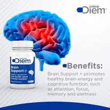 Brain health concept imagery associated with Omne Diem