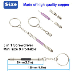 Close-up of bits: flat head, Phillips, and three hex sizes for the 5-in-1 kit