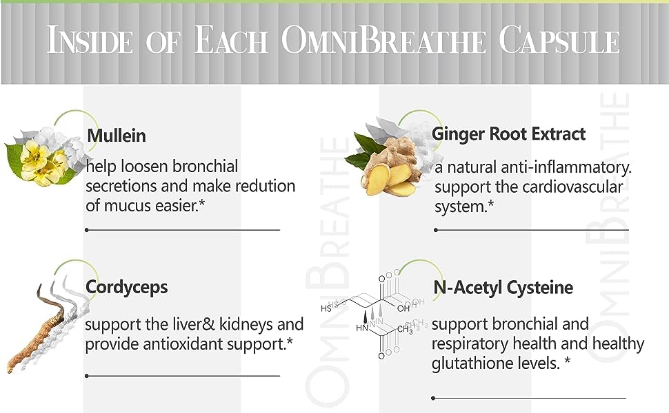 Omnite Mullein Leaf extract bottle—traditional lung-support visual for breathing routines.