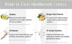 Omnite Mullein Leaf extract bottle—traditional lung-support visual for breathing routines.