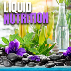 Proprietary blend description on OmniTrim Nite Lite bottle