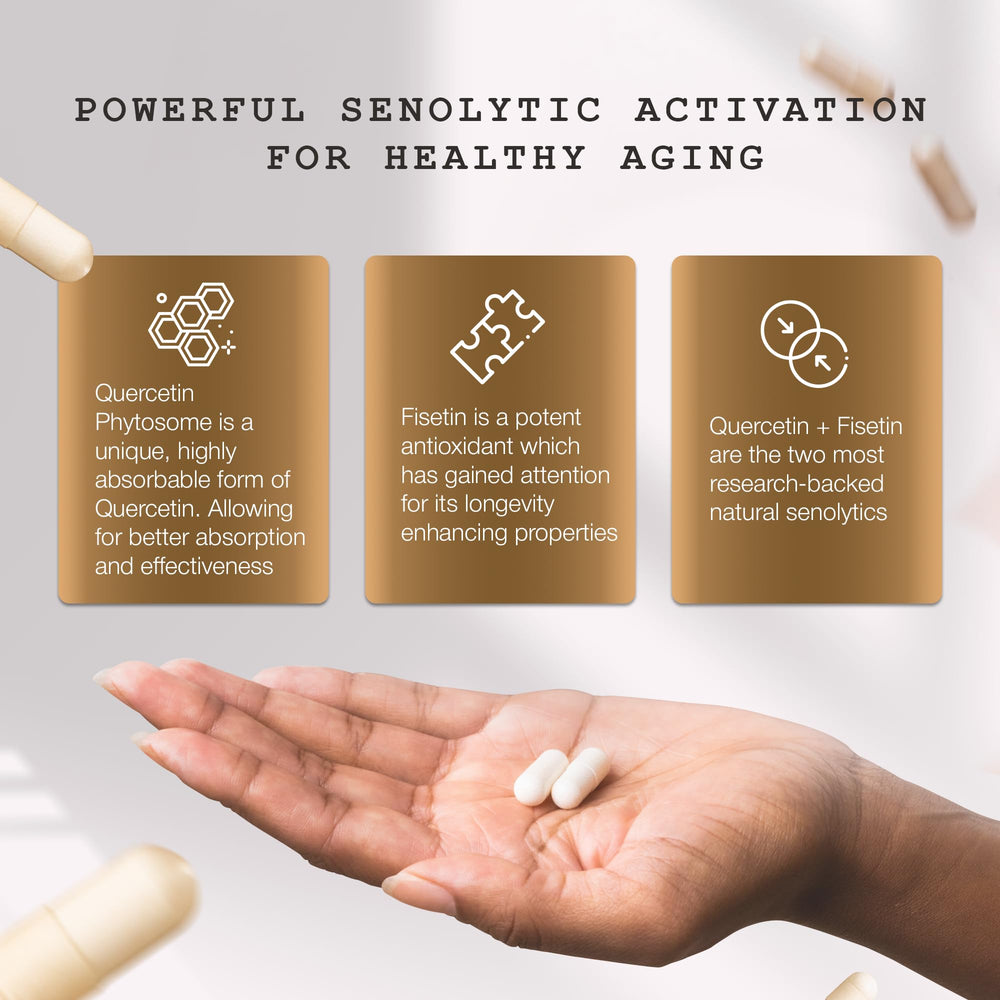 Quercetin Phytosome absorption technology illustration