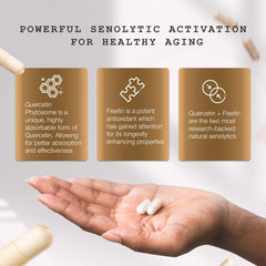 Quercetin Phytosome absorption technology illustration