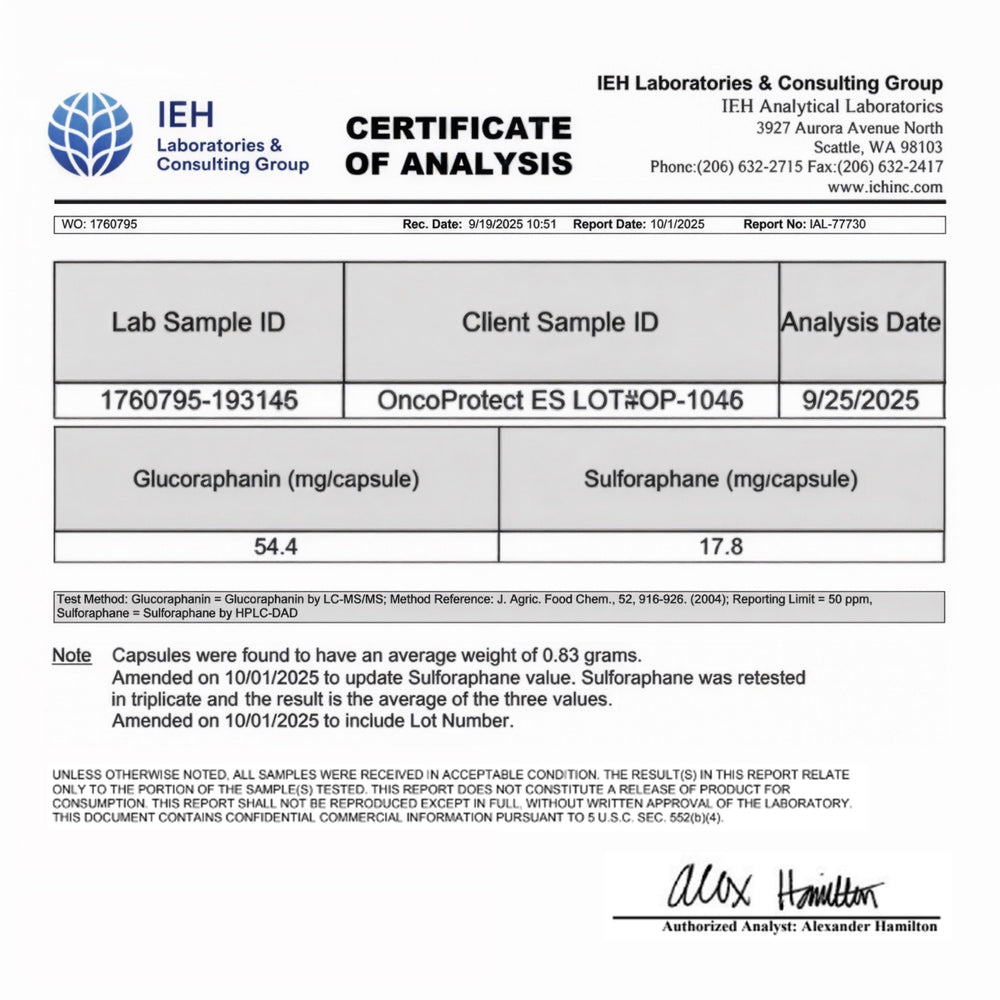 Concept image of cellular health and immune support