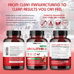 One capsule per day for a 150-day supply