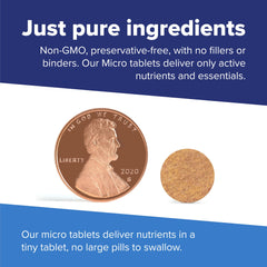 Graphic illustrating the vitamin components of the formula