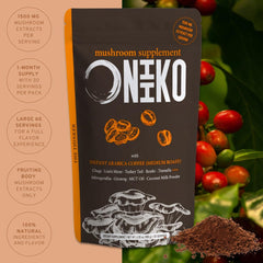 Illustration of supporting ingredients: Ginseng, Ashwagandha, and MCT oil.