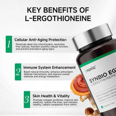 Graphic showing immune, heart, and brain support from ergothioneine