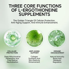 Mitochondrial protection concept with ergothioneine