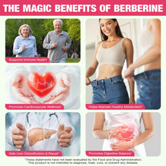 Onznoz Berberine Gummies milk thistle and cinnamon image showcasing antioxidant-rich blend