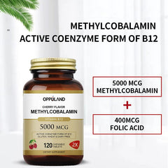 Vegan B12 supplement packaging with folate