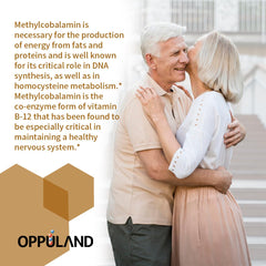 Vegan-friendly methylcobalamin with folate ingredients label