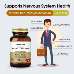 Bottle front showing 5000 mcg methylcobalamin and 400 mcg folic acid