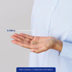 Ferritin iron absorption concept graphic