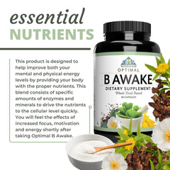 Nootropic and adaptogenic ingredients Rhodiola, DMAE and Taurine