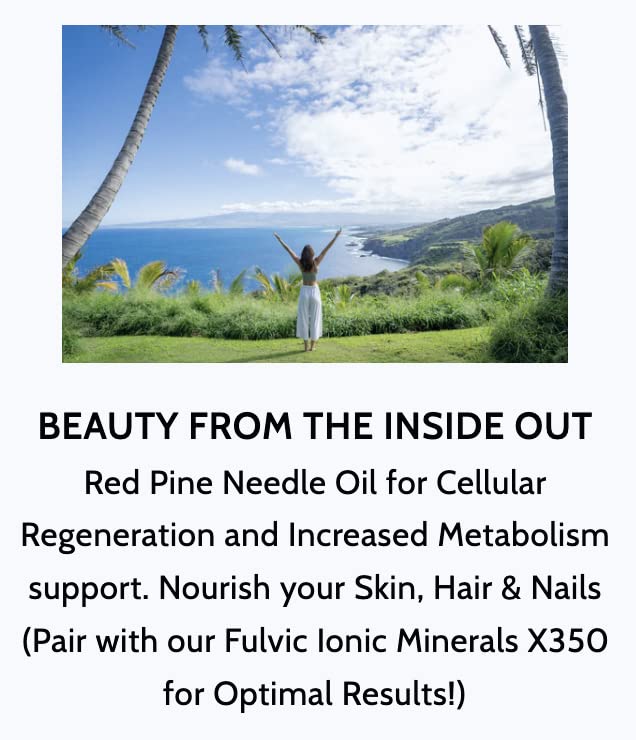 Wild-harvest DMZ-origin image suggesting natural steam-distilled oil for robust immune and overall vitality.