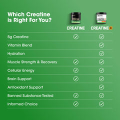 Front view of Optimum Nutrition Creatine Monohydrate jar