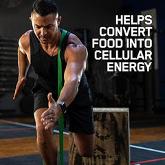 Active adults taking Optimum Nutrition Zinc Magnesium Aspartate with meals