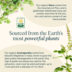 Herbal adaptogen blend concept with maca and ashwagandha