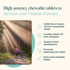 Illustration of immune and bone support