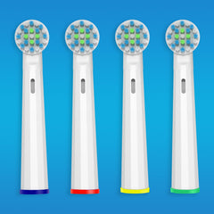 End-rounded DuPont bristles on Oral-B Pro 1000 replacement head