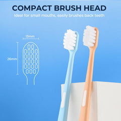 Six-pack toothbrush set for adults, pregnant women, and elderly