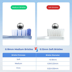 Travel case wide capacity holds three toothbrushes