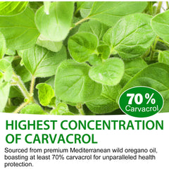 Oregano oil drops product label