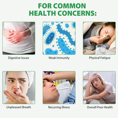 Graphic highlighting immune support and digestive support