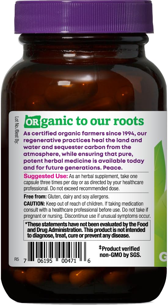 Capsules highlighting memory, focus, and brain health benefits