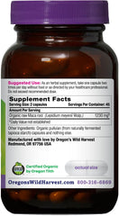 Close-up of Organic raw Maca root and powder sample