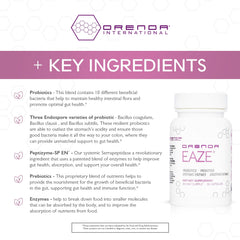 Graphic illustrating 6-in-1 digestive support features