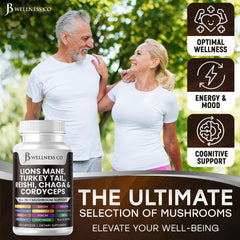 Organic mushroom extract derived from 100% fruiting bodies