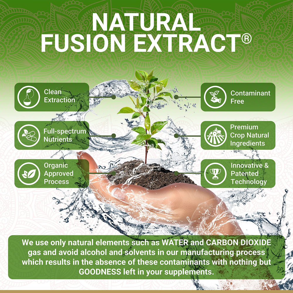 Close-up of vegan capsules containing whole food Amalaki extract