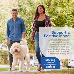 Organic Ashwagandha KSM-66 powder illustration