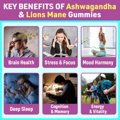 Supplement facts card showing 1000 mg Ashwagandha KSM-66 and 2500 mg Lion's Mane