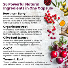 Beet root and turmeric imagery on supplement packaging