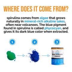 Icons for Non-GMO, Gluten-Free, Vegan on spirulina product image