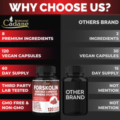 Organic Cadane Forskolin Gymnema Sylvestre – supports balanced snacking routine.