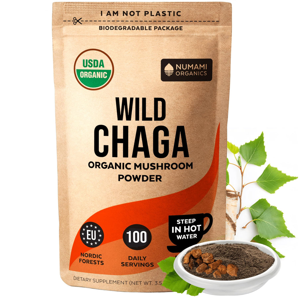 Organic Nordic Chaga mushroom powder in a jar