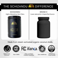 Digestive health support graphic related to charcoal benefits
