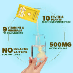 Organic Elderberry, Ginger, and Astragalus blend